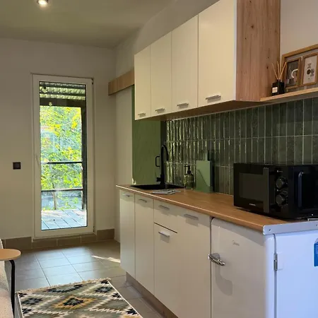 Apartment Molfar